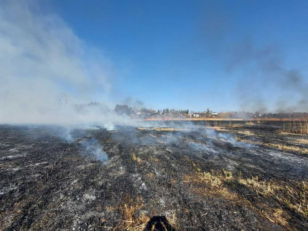 Hrubieszów: Kolejny pożar suchych traw - spłonęło 10 ha, w akcji uczestniczyło 33 strażaków (ZDJĘCIA)