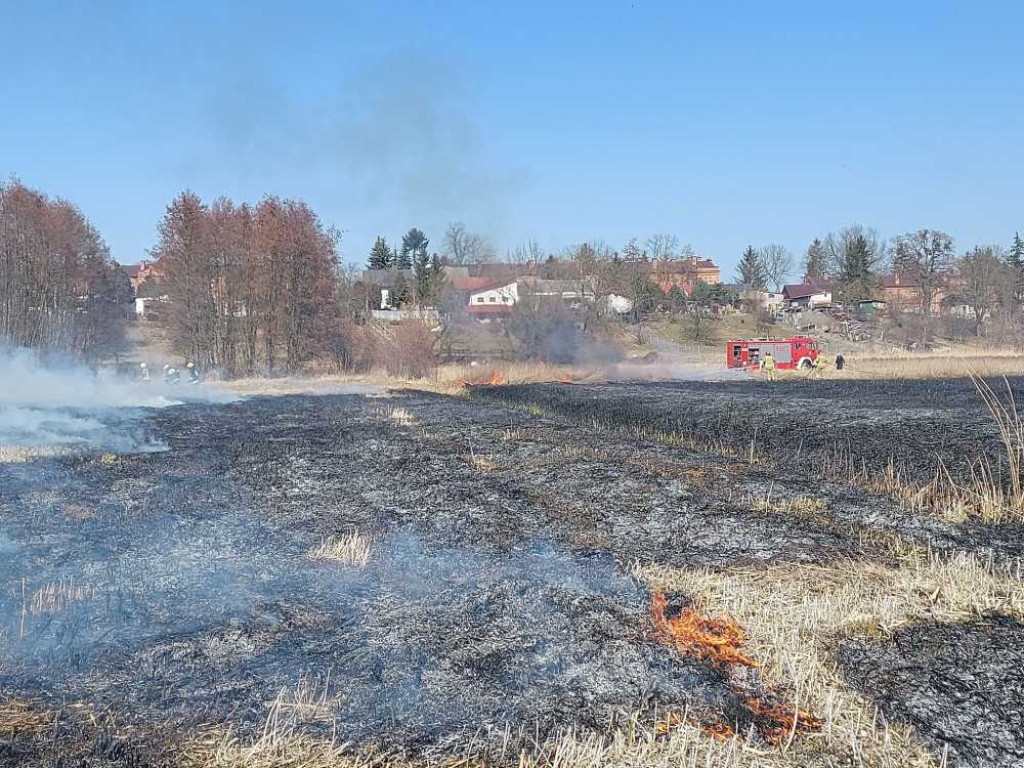 Hrubieszów: Kolejny pożar suchych traw - spłonęło 10 ha, w akcji uczestniczyło 33 strażaków (ZDJĘCIA)