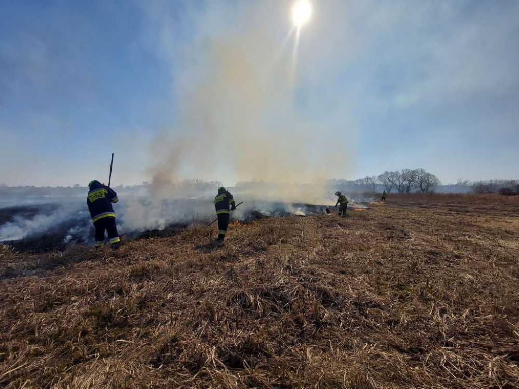 Hrubieszów: Kolejny pożar suchych traw - spłonęło 10 ha, w akcji uczestniczyło 33 strażaków (ZDJĘCIA)