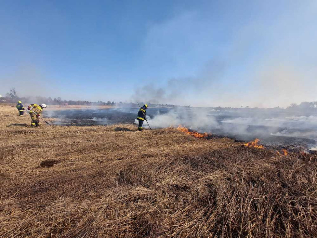 Hrubieszów: Kolejny pożar suchych traw - spłonęło 10 ha, w akcji uczestniczyło 33 strażaków (ZDJĘCIA)