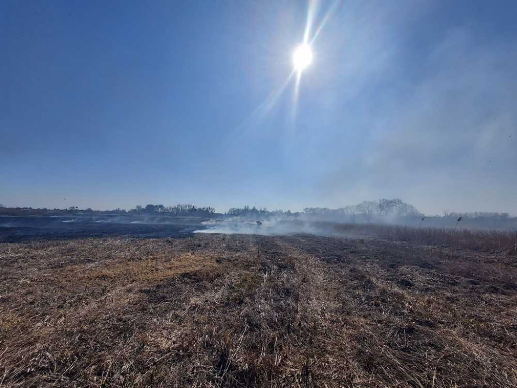 Hrubieszów: Kolejny pożar suchych traw - spłonęło 10 ha, w akcji uczestniczyło 33 strażaków (ZDJĘCIA)