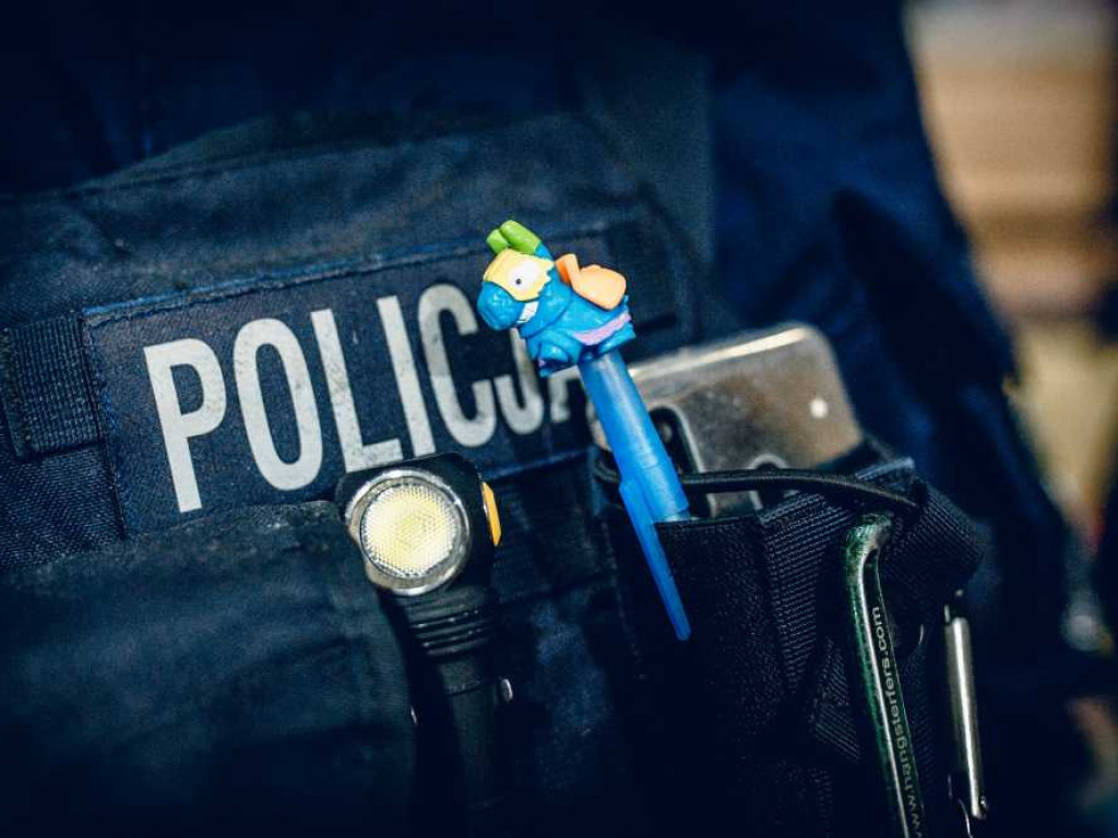 Hrubieszów: Dziękujemy wolontariuszom! (ZDJĘCIA)