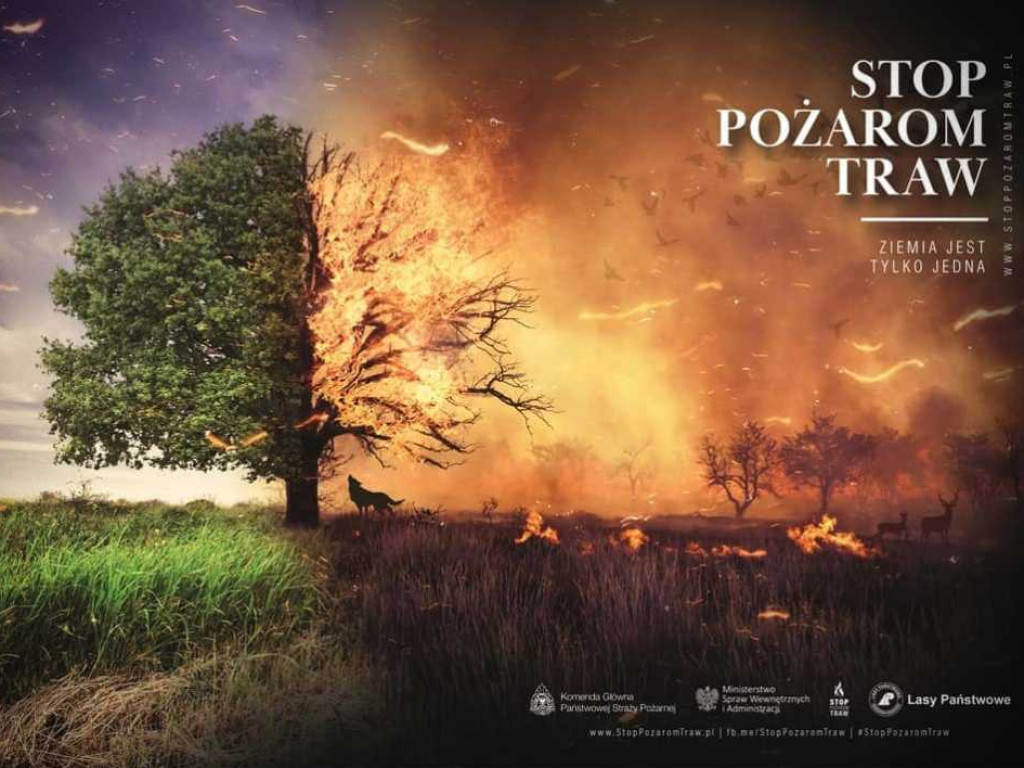 O pożarach lasów i traw w hrubieszowskiej Jedynce (ZDJĘCIA)