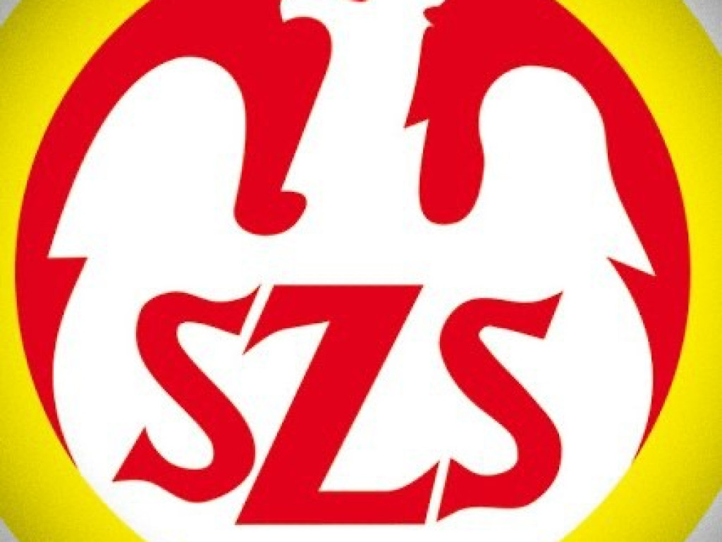 Igrzyska powiatowe SZS 2021/2022. SP 2 Hrubieszów oraz SP Werbkowice Mistrzami Powiatu w piłce ręcznej (ZDJĘCIA)
