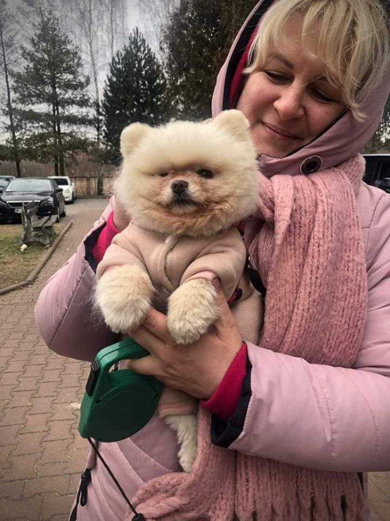 Hrubieszów: Pomoc nie tylko dla ludzi... (ZDJĘCIA)