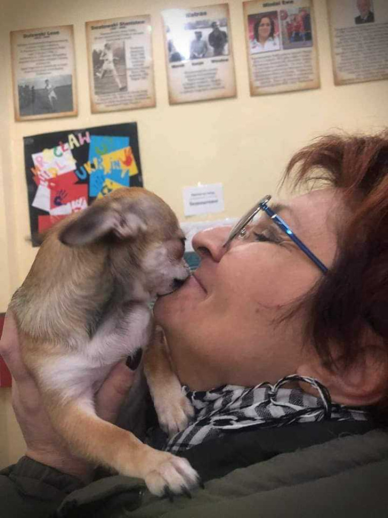 Hrubieszów: Pomoc nie tylko dla ludzi... (ZDJĘCIA)