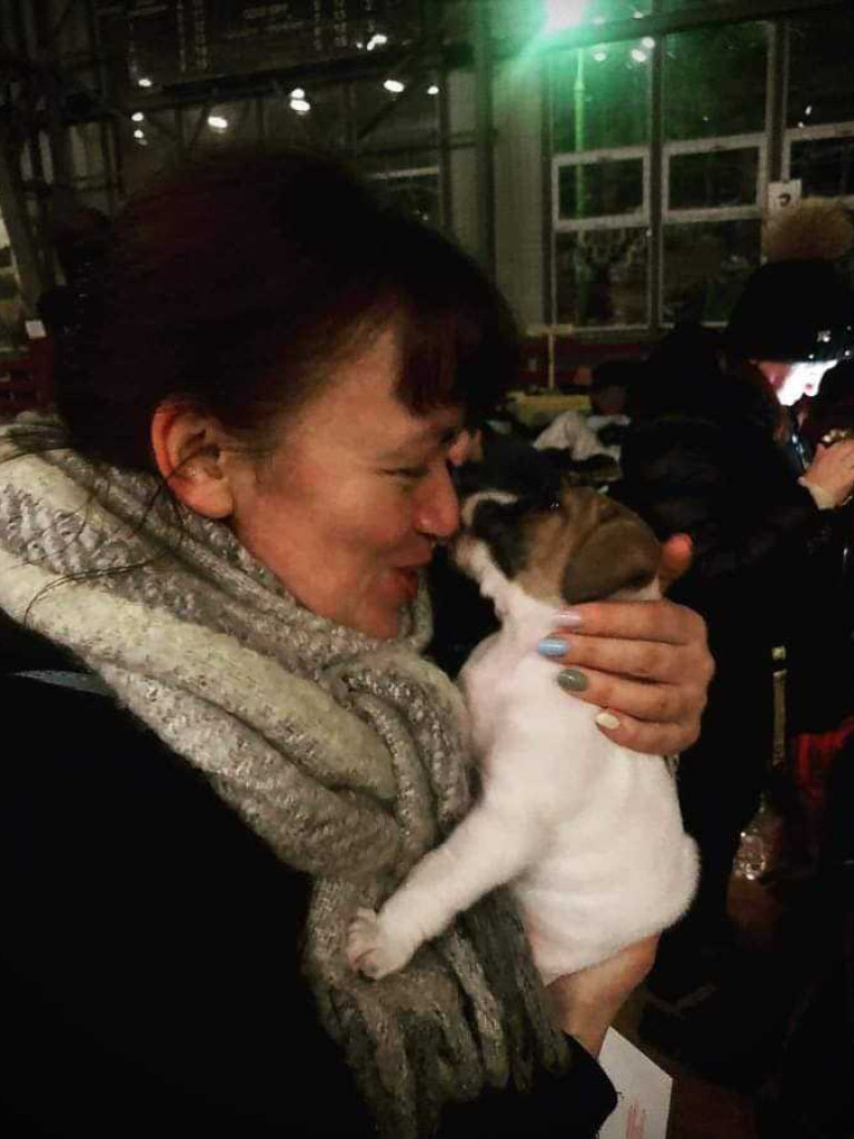 Hrubieszów: Pomoc nie tylko dla ludzi... (ZDJĘCIA)