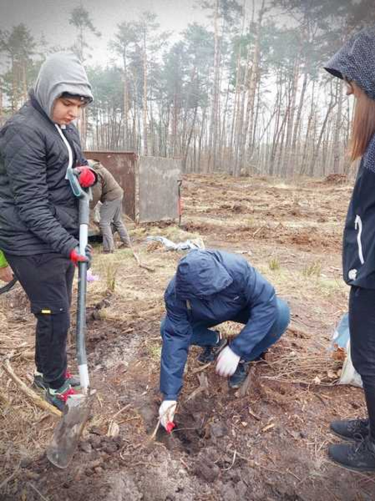 Hrubieszów: Sadzenie drzew? To zawsze dobry pomysł! (ZDJĘCIA)