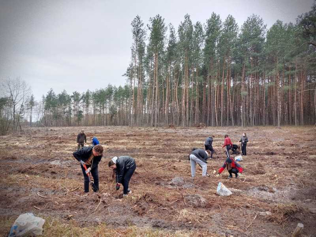 Hrubieszów: Sadzenie drzew? To zawsze dobry pomysł! (ZDJĘCIA)