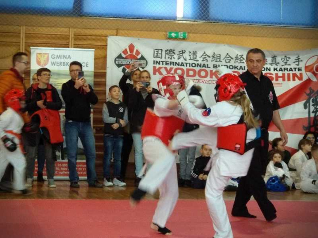 Udany start zawodników UKS Sportów Walki Werbkowice w Pucharze Polski w karate (ZDJĘCIA)