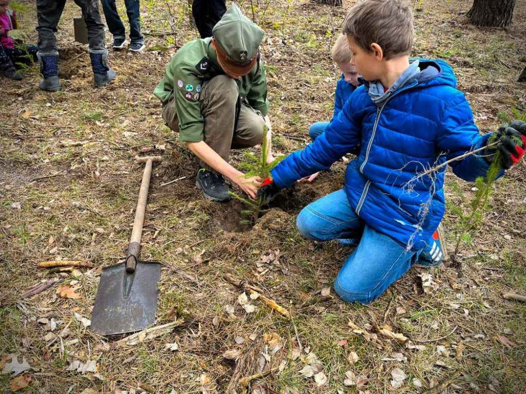 Hrubieszów: Harcerze i leśnicy - porozumienie i wspólne sadzenie drzew (ZDJĘCIA)