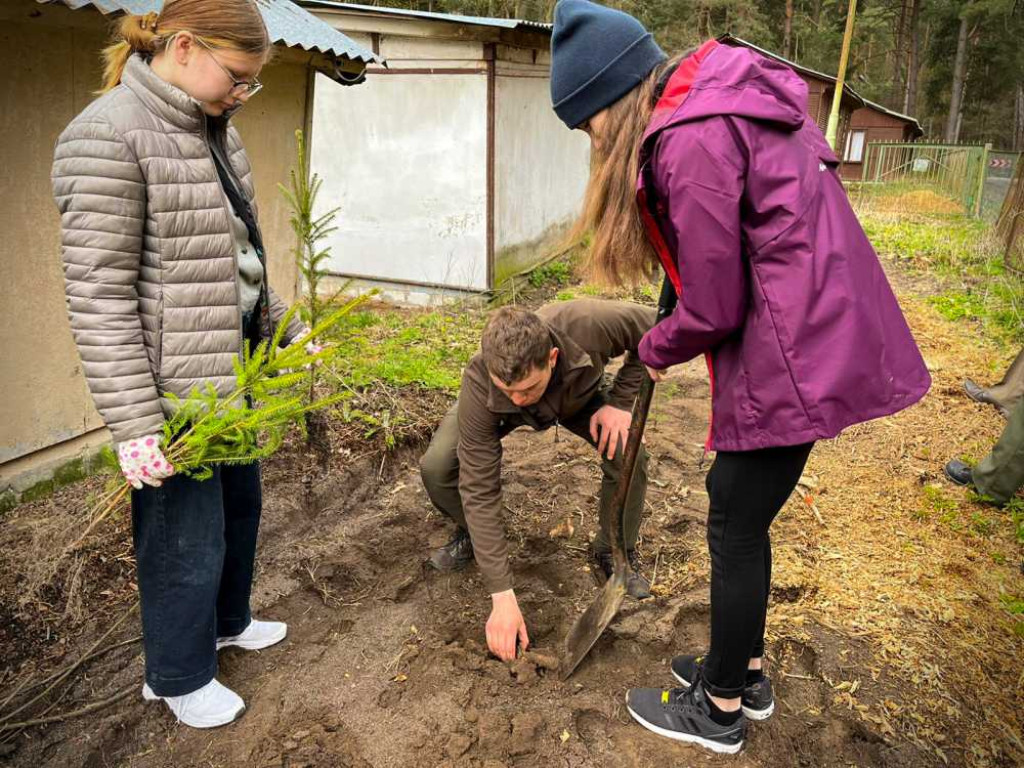 Hrubieszów: Harcerze i leśnicy - porozumienie i wspólne sadzenie drzew (ZDJĘCIA)