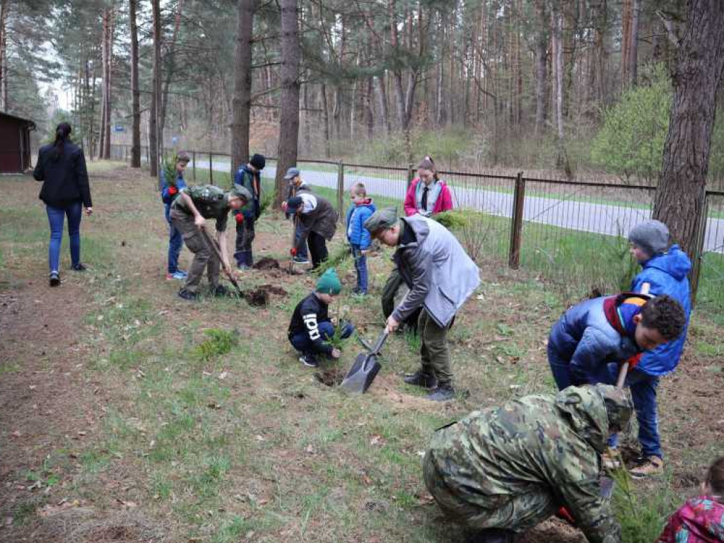 Hrubieszów: Harcerze i leśnicy - porozumienie i wspólne sadzenie drzew (ZDJĘCIA)
