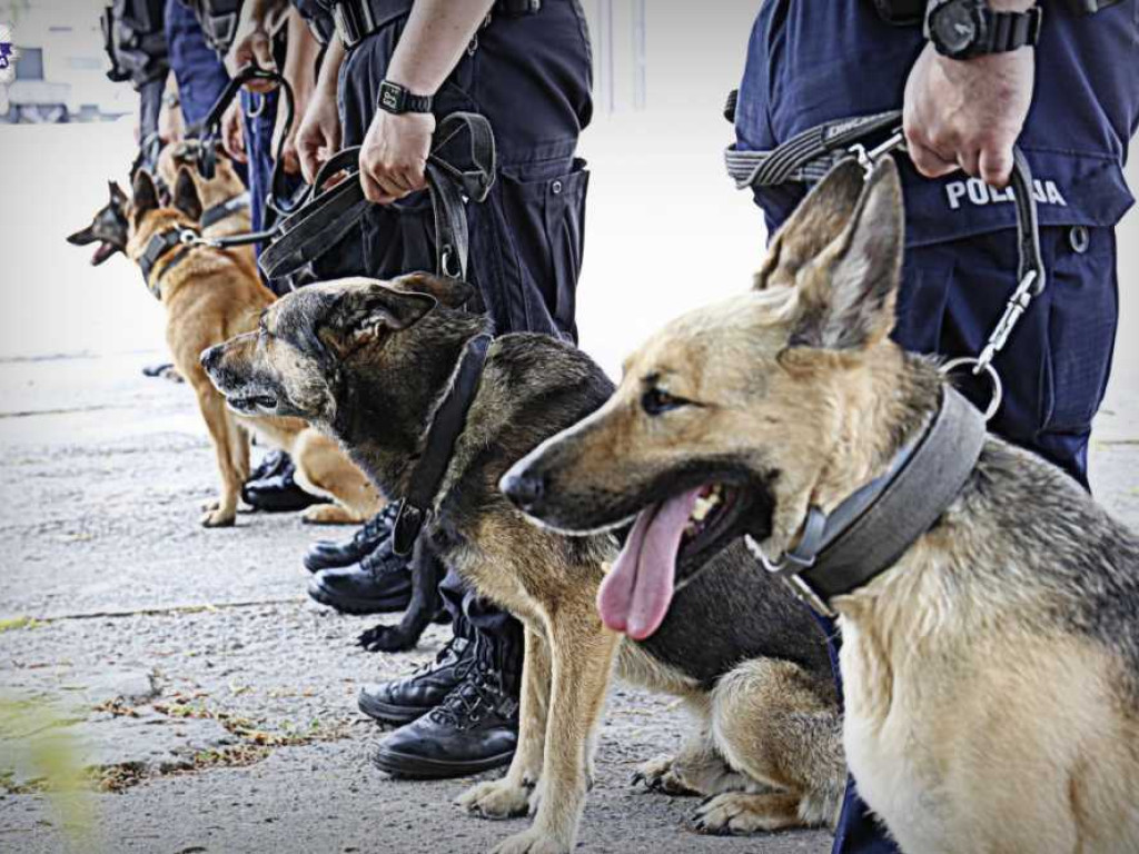 Wstąp w szeregi Policji! (ZDJĘCIA, WIDEO)