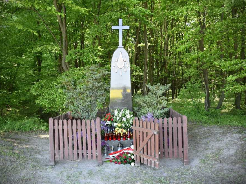 Gmina Werbkowice: Uczcili pamięć s. Wandy Longiny Trudzińskiej i jej wychowanków (ZDJĘCIA)