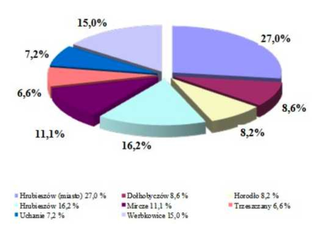 Hrubieszów: Przestępstwa, wypadki, pożary, inne... Jak wyglądało bezpieczeństwo w mieście w 2021 roku