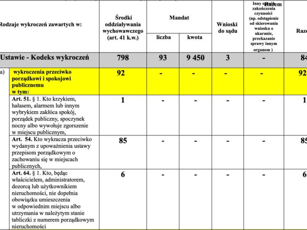 Hrubieszów: Przestępstwa, wypadki, pożary, inne... Jak wyglądało bezpieczeństwo w mieście w 2021 roku