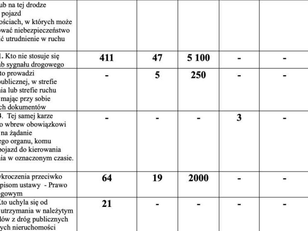 Hrubieszów: Przestępstwa, wypadki, pożary, inne... Jak wyglądało bezpieczeństwo w mieście w 2021 roku