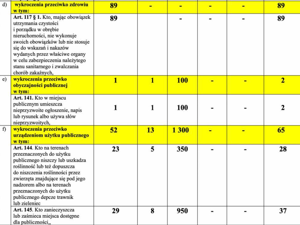 Hrubieszów: Przestępstwa, wypadki, pożary, inne... Jak wyglądało bezpieczeństwo w mieście w 2021 roku