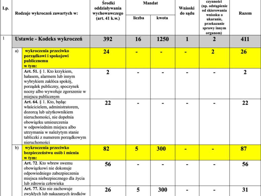 Hrubieszów: Przestępstwa, wypadki, pożary, inne... Jak wyglądało bezpieczeństwo w mieście w 2021 roku