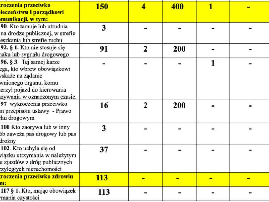 Hrubieszów: Przestępstwa, wypadki, pożary, inne... Jak wyglądało bezpieczeństwo w mieście w 2021 roku