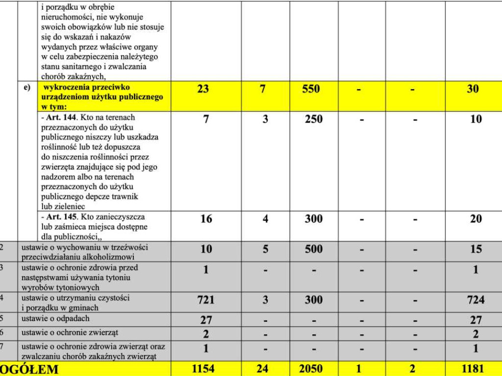 Hrubieszów: Przestępstwa, wypadki, pożary, inne... Jak wyglądało bezpieczeństwo w mieście w 2021 roku