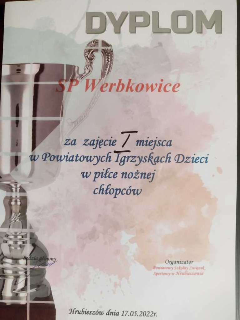 SP Werbkowice mistrzem powiatu w mini piłce nożnej chłopców (ZDJĘCIA)