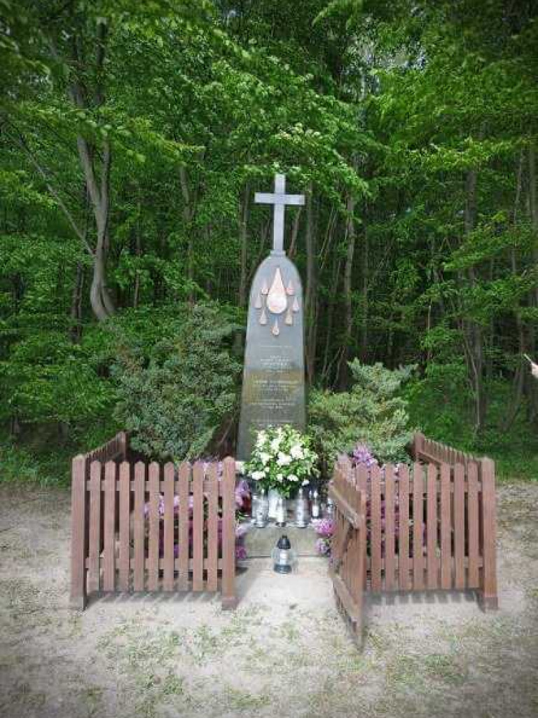Obchody Święta Szkoły w Sahryniu (ZDJĘCIA)