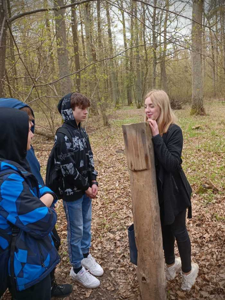 Dwójka: Budki dla ptaków trafiły do lasu (ZDJĘCIA)