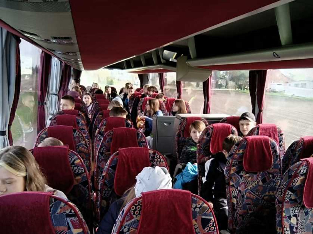 Dwójka: Budki dla ptaków trafiły do lasu (ZDJĘCIA)