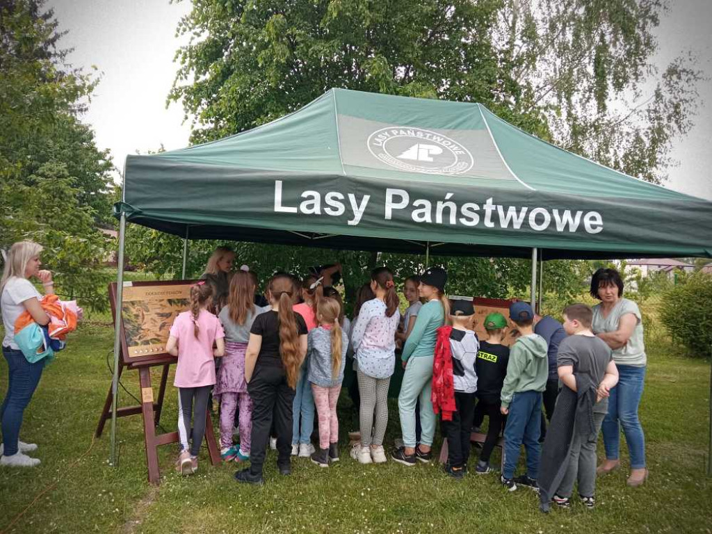 Dzień Dziecka w Husynnem [ZDJĘCIA]
