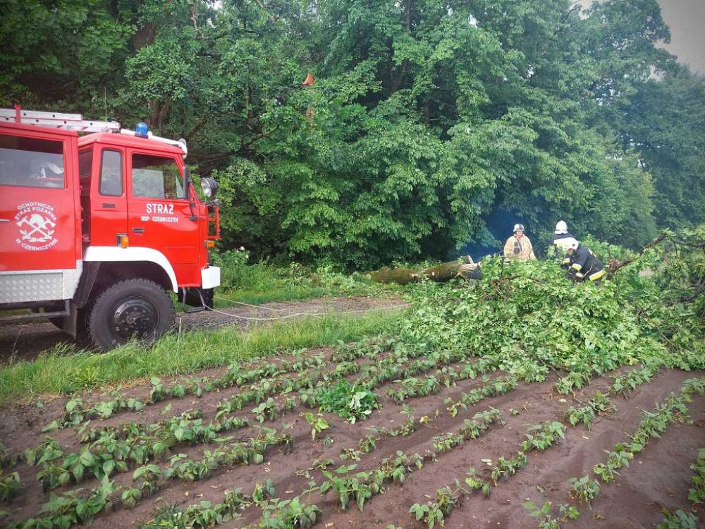Powalone drzewa w Czerniczynie [ZDJĘCIA]
