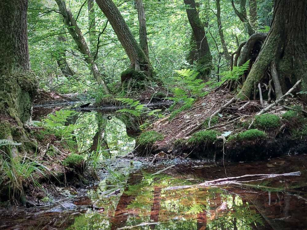 Hrubieszów: Uczniowie ze Staszica w Poleskim Parku Narodowym [ZDJĘCIA]