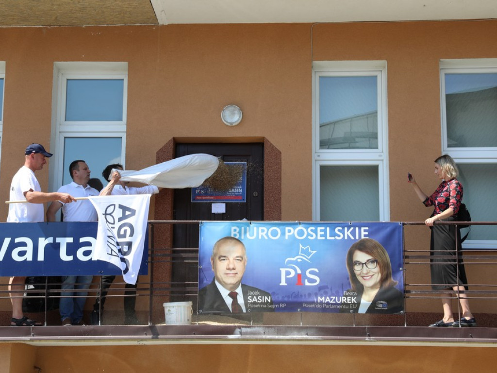 Protest Agrounii w Hrubieszowie - zboże rozsypane przed biurem poselskim Jacka Sasina [ZDJĘCIA, WIDEO]