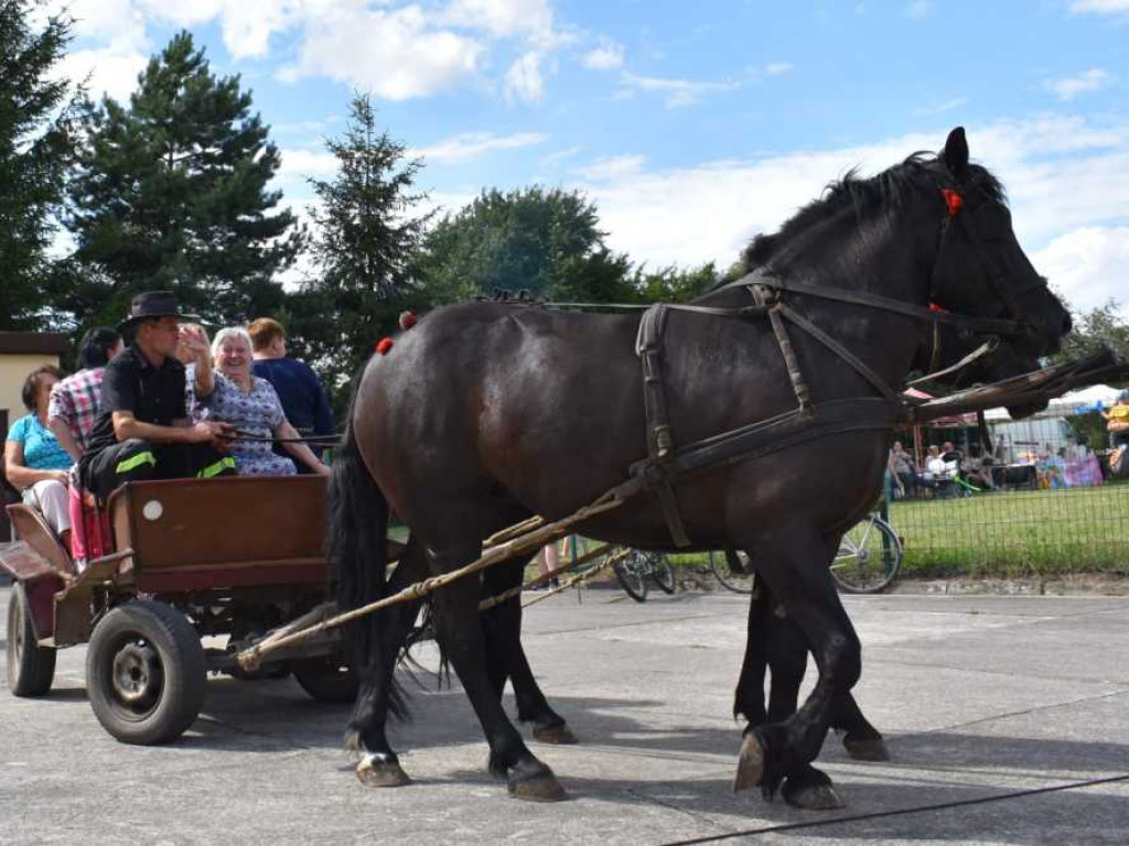 Piknik rodzinny w Moniatyczach [ZDJĘCIA]