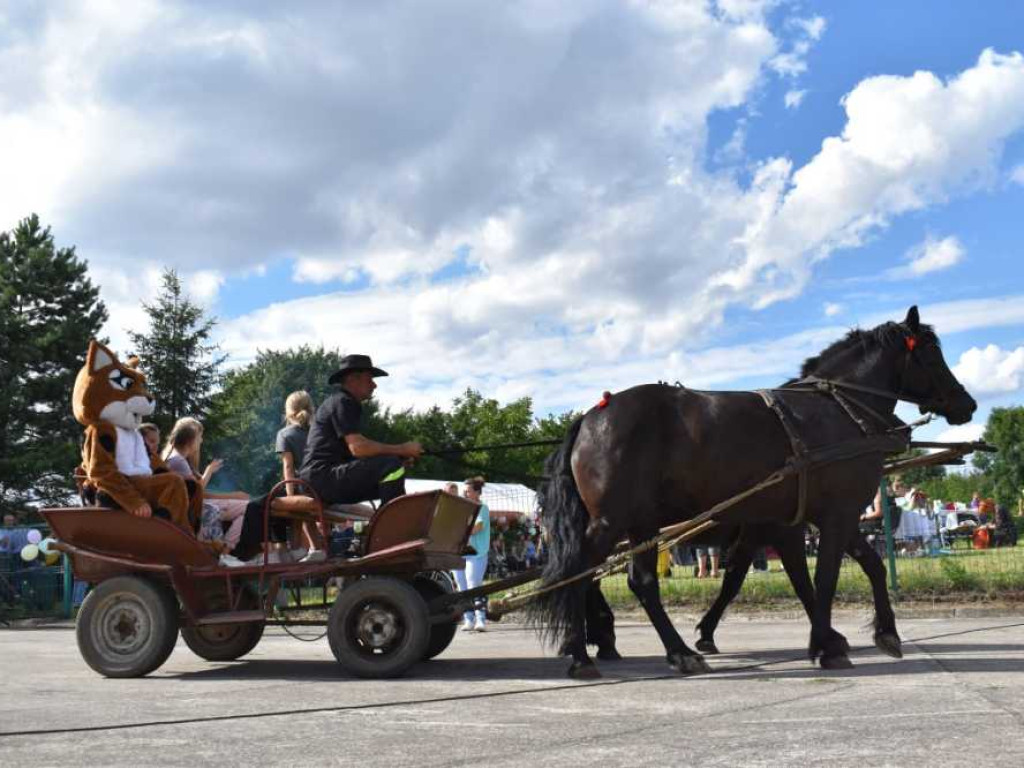 Piknik rodzinny w Moniatyczach [ZDJĘCIA]