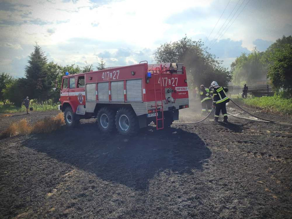 Gmina Hrubieszów: Pożar traw w Turkołówce [ZDJĘCIA]