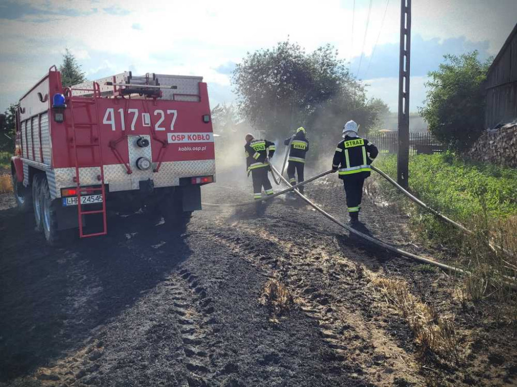 Gmina Hrubieszów: Pożar traw w Turkołówce [ZDJĘCIA]
