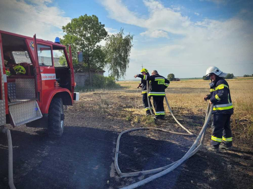 Gmina Hrubieszów: Pożar traw w Turkołówce [ZDJĘCIA]