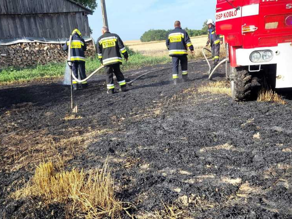 Gmina Hrubieszów: Pożar traw w Turkołówce [ZDJĘCIA]