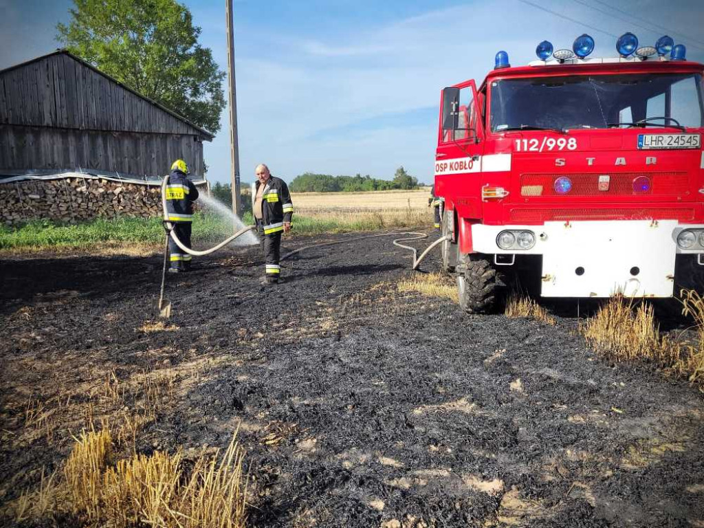 Gmina Hrubieszów: Pożar traw w Turkołówce [ZDJĘCIA]
