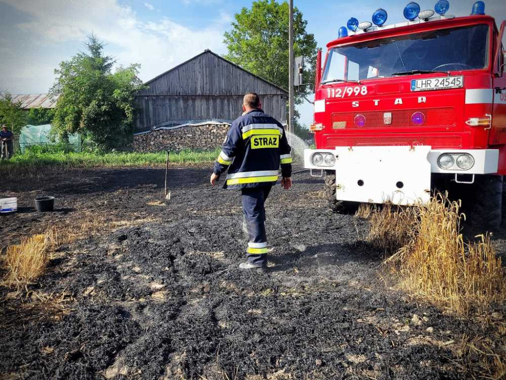 Gmina Hrubieszów: Pożar traw w Turkołówce [ZDJĘCIA]