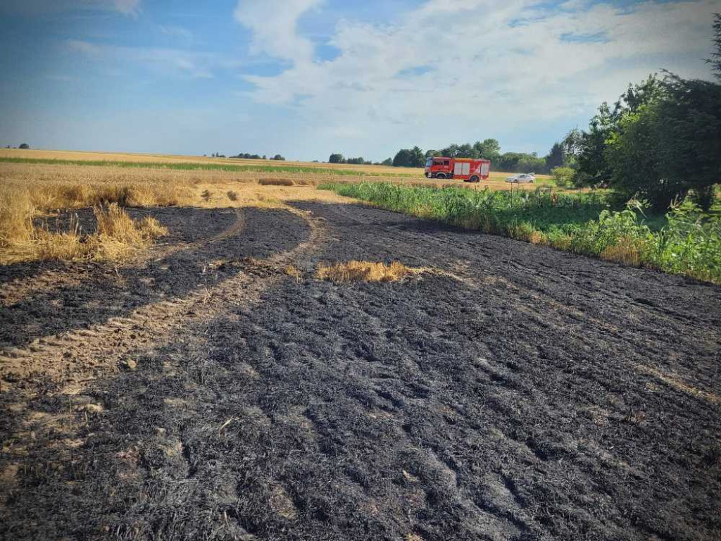 Gmina Hrubieszów: Pożar traw w Turkołówce [ZDJĘCIA]