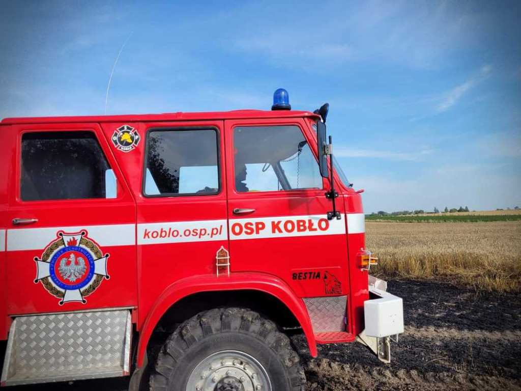 Gmina Hrubieszów: Pożar traw w Turkołówce [ZDJĘCIA]