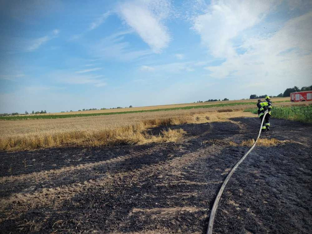 Gmina Hrubieszów: Pożar traw w Turkołówce [ZDJĘCIA]