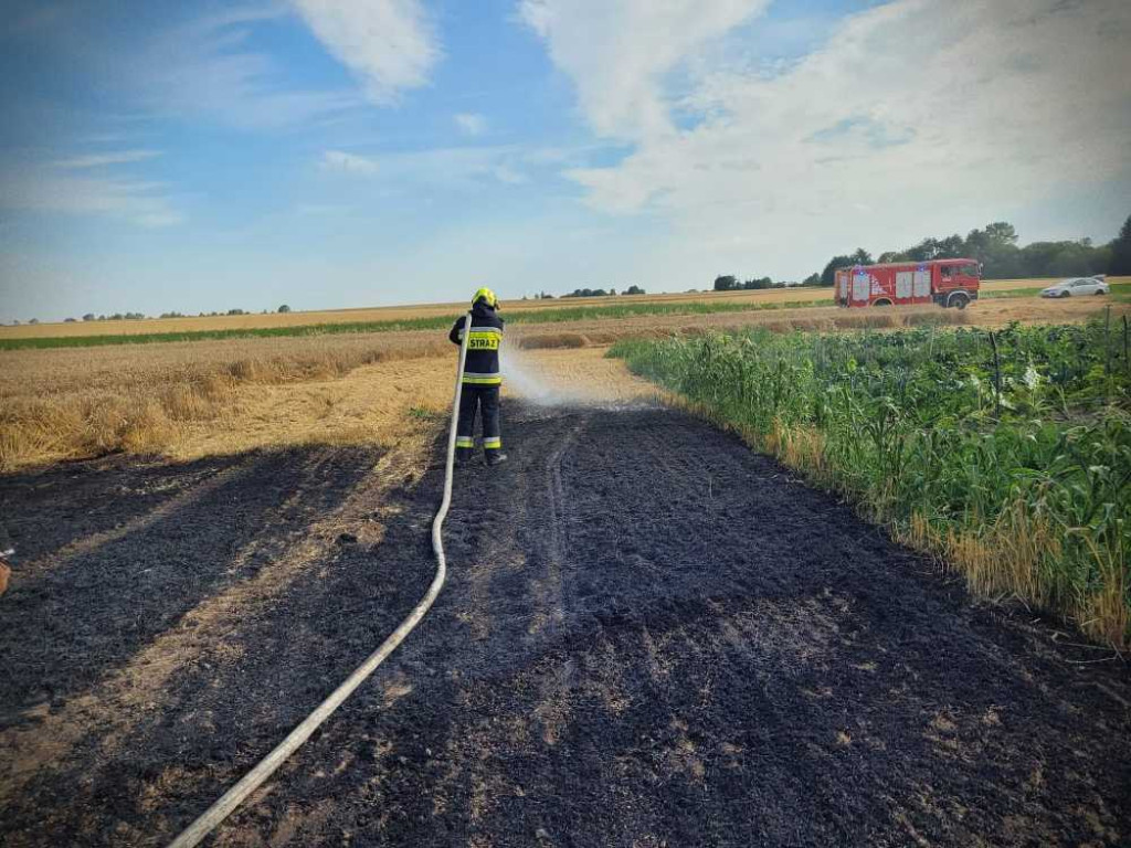 Gmina Hrubieszów: Pożar traw w Turkołówce [ZDJĘCIA]