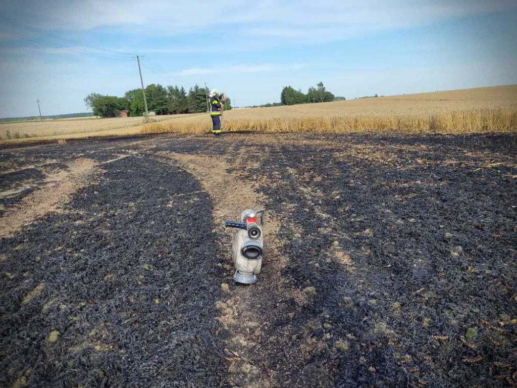 Gmina Hrubieszów: Pożar traw w Turkołówce [ZDJĘCIA]