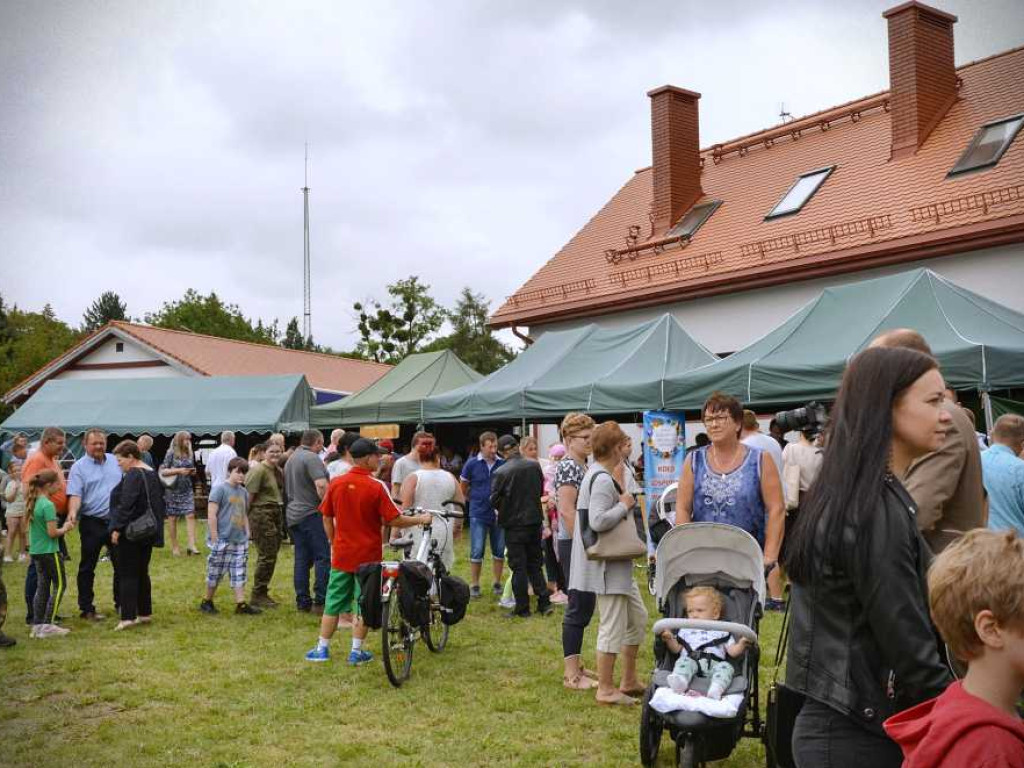 Hrubieszów: Pyszności, pokaz militarny, wystawa... czyli otwarte dni lasu w Nadleśnictwie Strzelce [ZDJĘCIA, WIDEO]