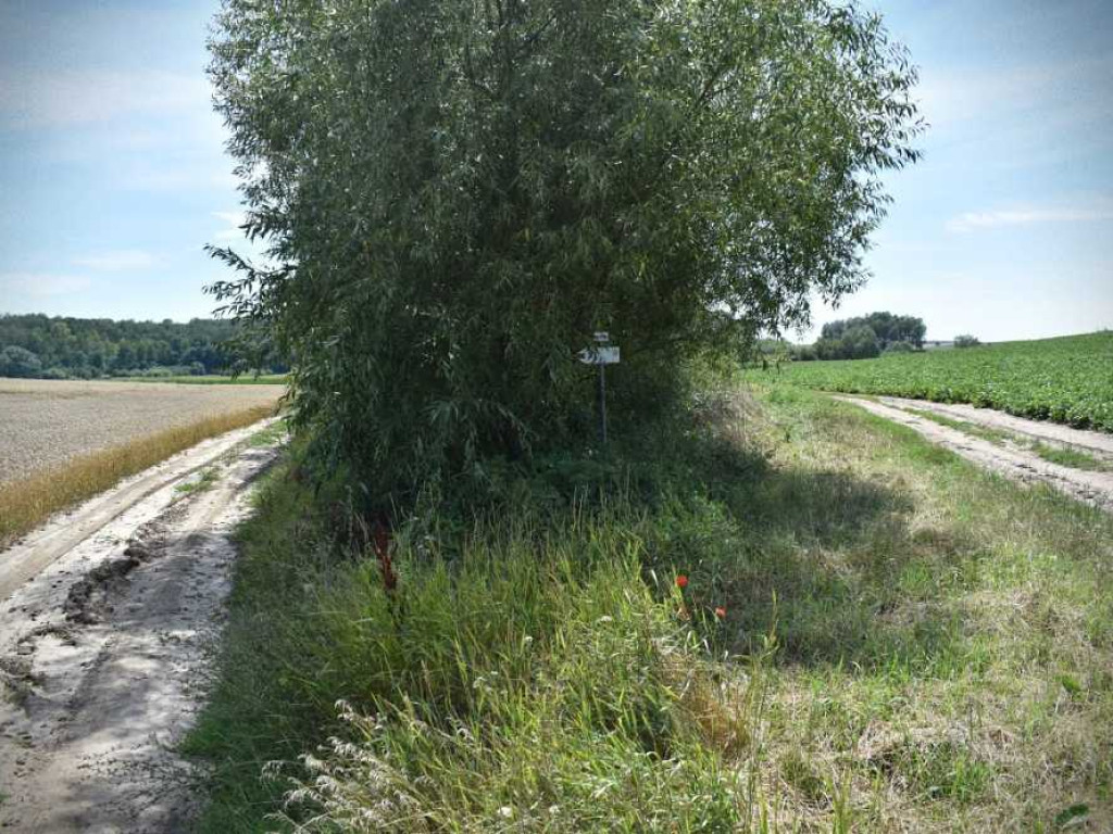 Seniorzy na szlaku [ZDJĘCIA]