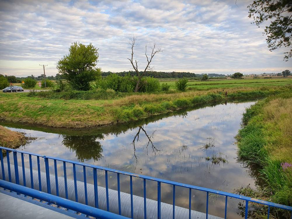 Hrubieszów: Mało wody w Huczwie... [ZDJĘCIA]